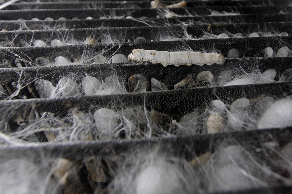 Di Rumah Sutera ini pengunjung bisa mengetahui segala seluk beluk tentang sutera. Sutera sendiri merupakan serat protein alami yang dapat ditenun menjadi tekstil, jenis sutera yang paling umum adalah sutera dari kepompong yang dihasilkan larva ulat sutera murbei (Bombyx mori) yang diternak.