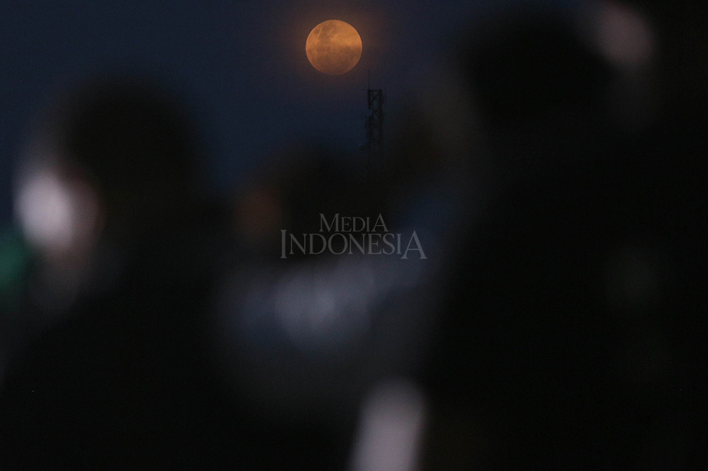 Ribuan pengunjung tidak dapat melihat jelas fenomena alam tersebut karena langit Jakarta tertutup awan.