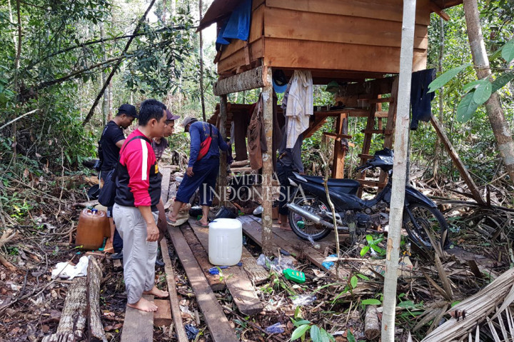 Tim Polres Bengkalis awalnya menemukan seseorang yang tengah membawa kayu menggunakan sepeda motor. Setelah itu tim terus memasuki kawasan hutan.