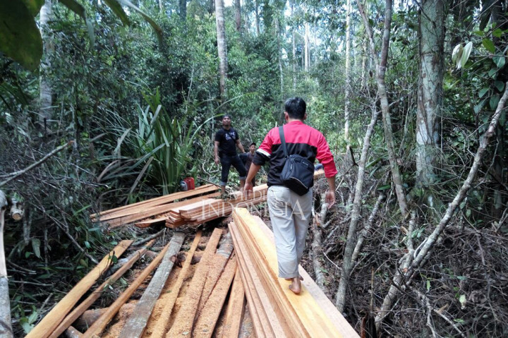 Tim kembali menelusuri lebih ke dalam lagi. Ditemukan jalan setapak yang disusun dari sisa potongan kayu untuk melansir hasil perambahan hutan.