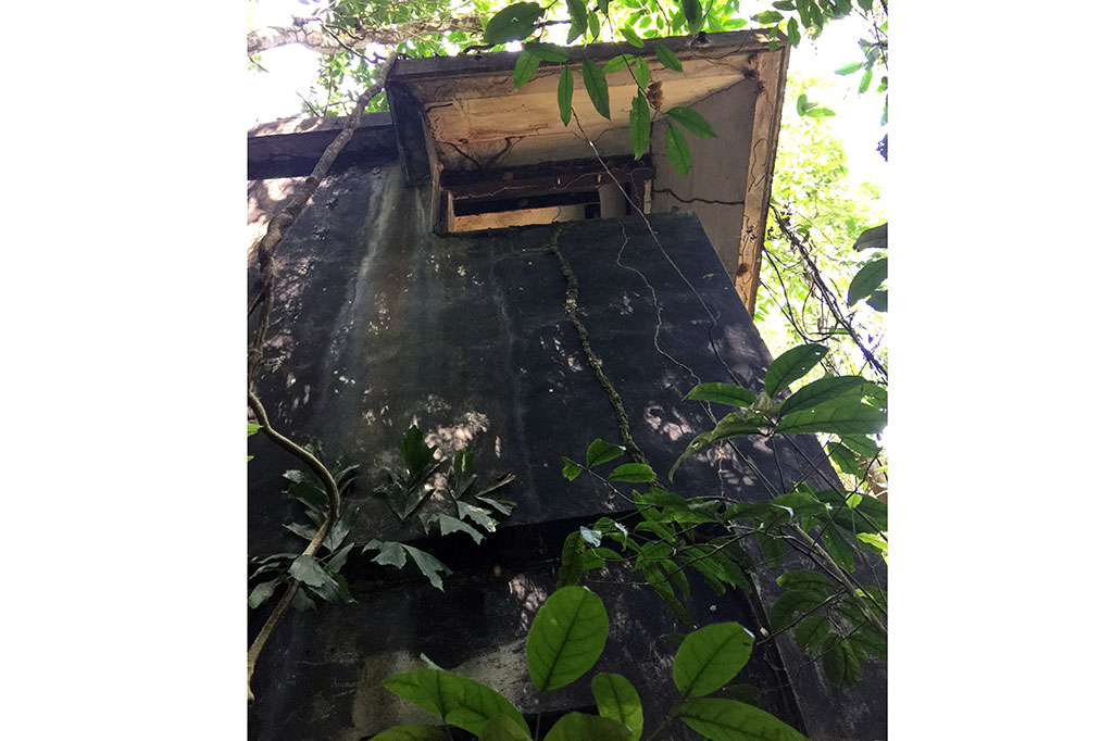 Tim menemukan sebuah menara penembakan senjata era kolonial yang dibangun oleh Inggris sekitar 1930-an di Pulau Ubin.