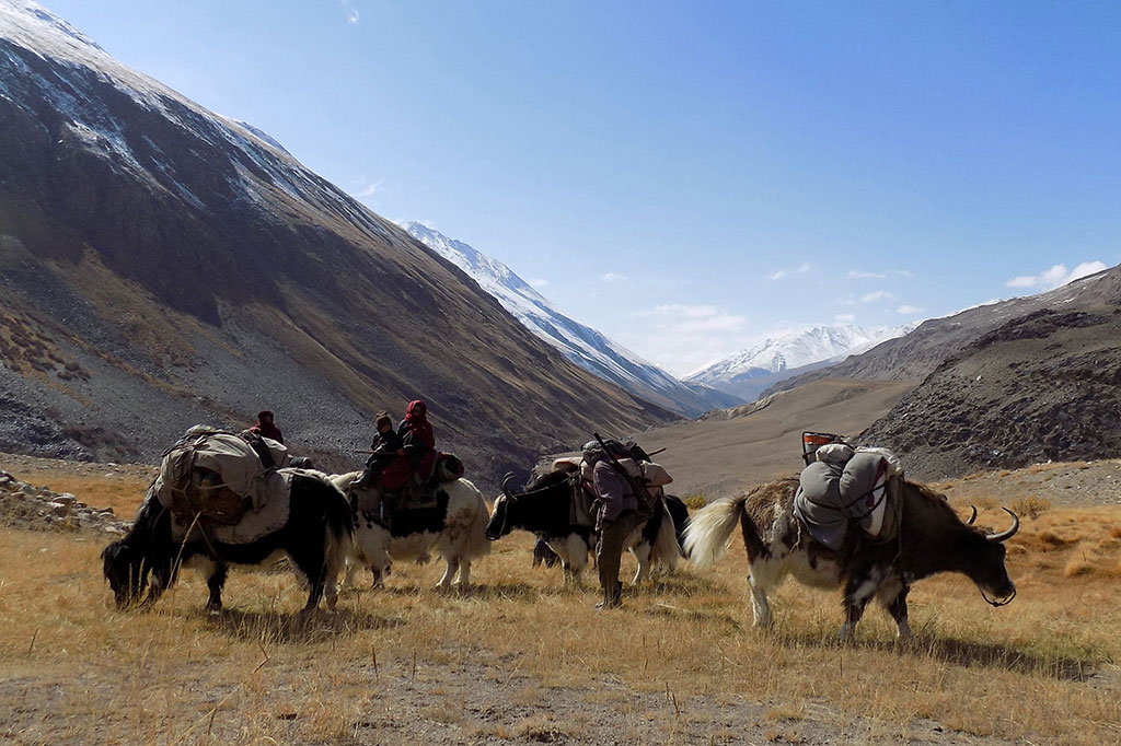 Suku Kirgiz melakukan perjalanan di Yaks, koridor pegunungan Wakhan, Afghanistan, Sabtu, 7 Oktober 2017 lalu. Suku Kirgiz ialah satu dari segelintir suku nomad yang tersisa di dunia. Selama berabad-abad mereka berpindah-pindah melakukan perjalanan dengan bebas melintasi Asia Tengah dan Selatan, memotong sungai dan pegunungan yang tertutup salju dengan ternak-ternak mereka.