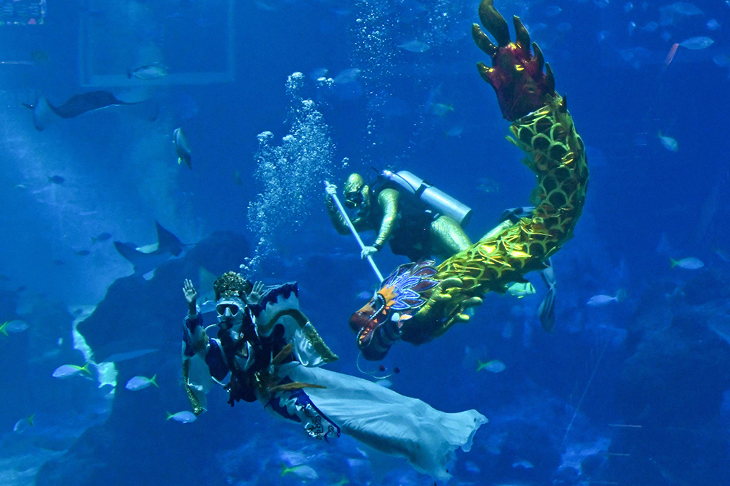 S.E.A. Aquarium menghadirkan pertunjukan tarian barongsai bawah air satu-satunya di Singapura.