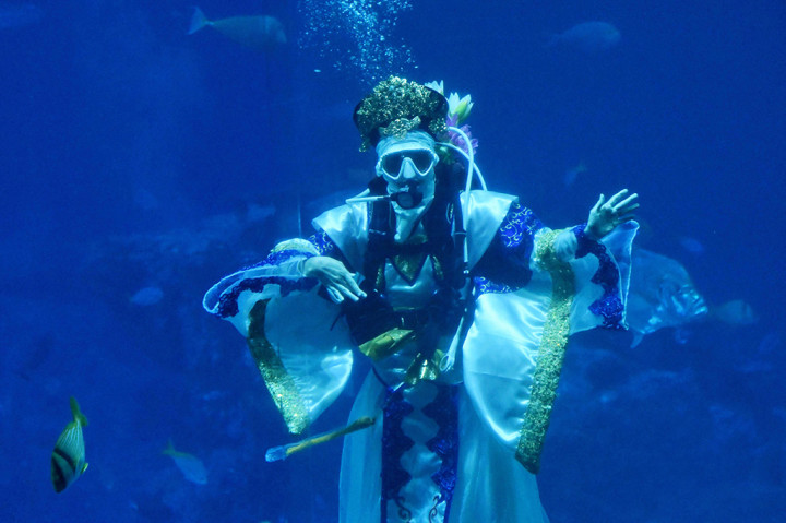 Selain itu, S.E.A. Aquarium kembali menggelar tradisi tahunan Gong SEA Fa Cai. 