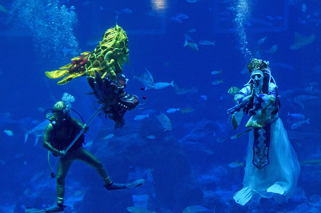 Pengunjung akan dihibur oleh para penyelam yang menggunakan kostum imlek bersama 40 ribu hewan laut, seperti pari manta dan ikan hiu zebra. 
