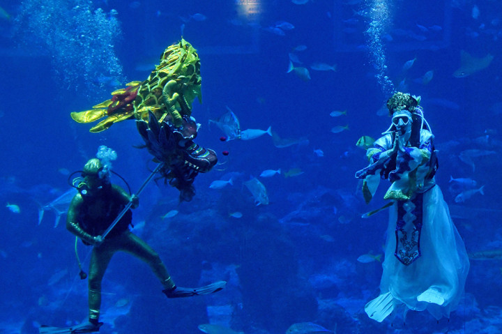 Pengunjung akan dihibur oleh para penyelam yang menggunakan kostum imlek bersama 40 ribu hewan laut, seperti pari manta dan ikan hiu zebra. 
