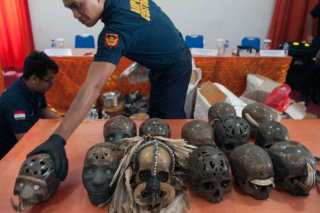 Petugas Bea Cukai Ngurah Rai dan PT Pos Indonesia Regional VIII Bali-Nusra menggagalkan upaya ekspor 24 tengkorak manusia yang diduga diperoleh dari Kalimantan dan Papua dengan tujuan Papua.