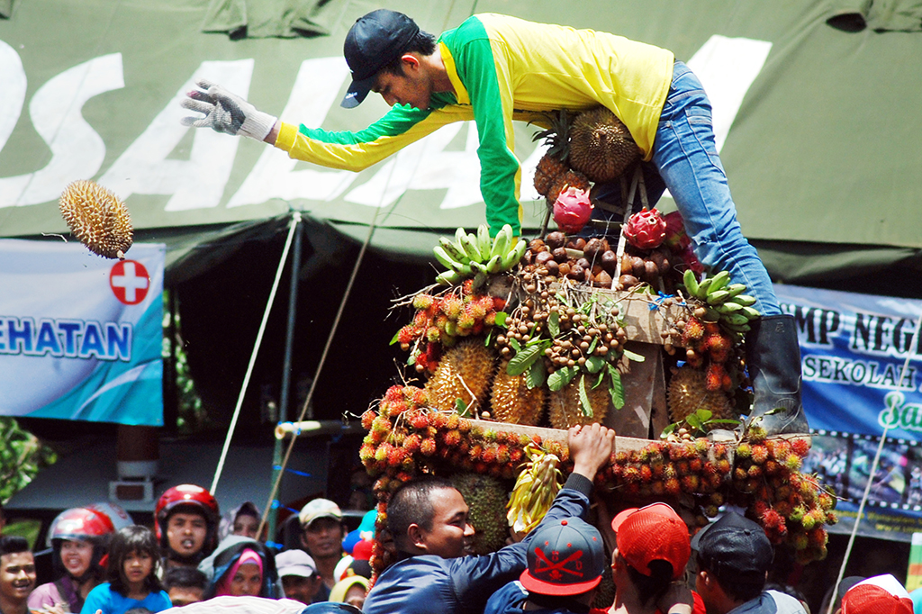 Warga berebut buah durian saat pesta durian 