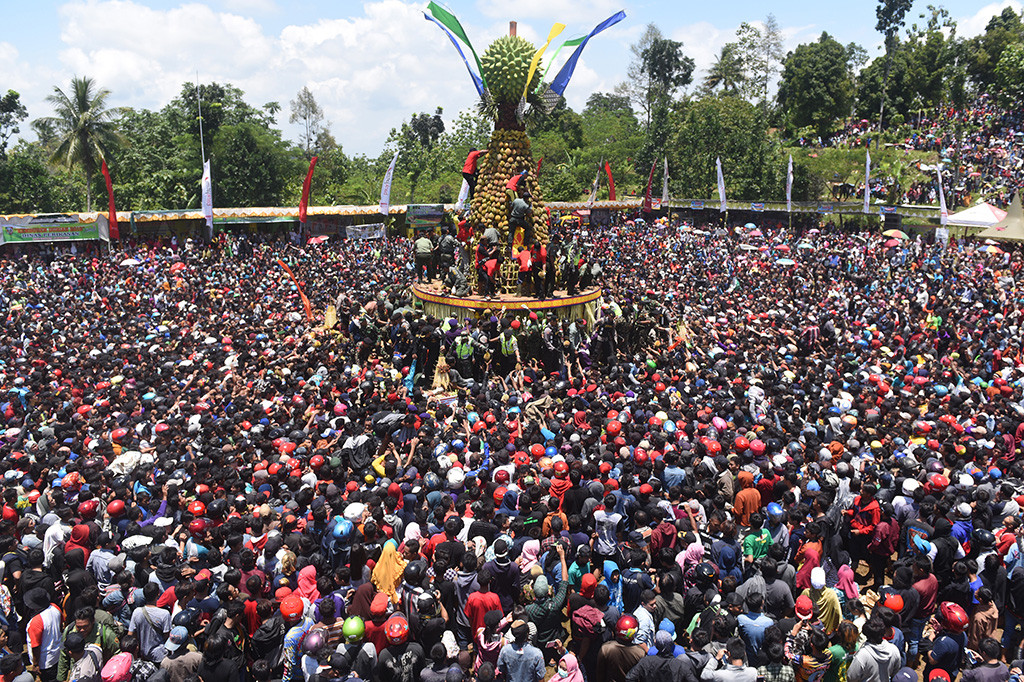 Ribuan warga saling dorong dan berdesak-desakan berebut gunungan tumpeng buah durian saat Festival Kenduren Wonosalam di Jombang, Jawa Timur. ANTARA/Zabur Karuru