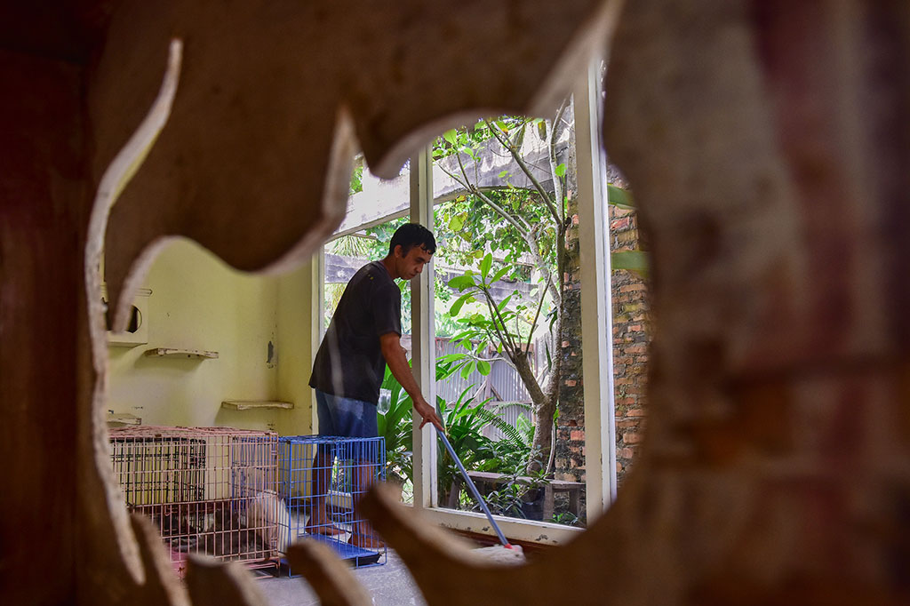 Operasional VR 100 persen bergantung dari donasi masyarakat, khususnya untuk makanan dan klinik dokter hewan. Tapi biaya operasional untuk gaji pegawai yang mengurus kucing, untuk beli sabun, bayar tagihan listrik dan lain-lain ditanggung Violetta sendiri.