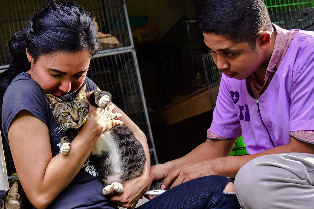 Sebelum ke penampungan, kucing yang diselamatkan dibawa ke klinik dokter hewan untuk divaksin, serta diberi obat cacing dan obat kutu. Dokter hewan setiap tiga bulan sekali rutin mengunjungi VR untuk memeriksa kesehatan kucing-kucing tersebut.