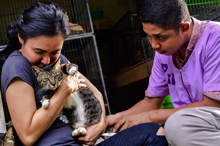 Sebelum ke penampungan, kucing yang diselamatkan dibawa ke klinik dokter hewan untuk divaksin, serta diberi obat cacing dan obat kutu. Dokter hewan setiap tiga bulan sekali rutin mengunjungi VR untuk memeriksa kesehatan kucing-kucing tersebut.