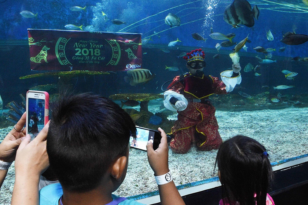 Seorang penyelam yang berpakaian Dewa Kesejahteraan Tionghoa memberi makan ikan di dalam akuarium saat menyambut pengunjung untuk menandai dimulainya Tahun Baru Imlek di taman akuarium di Manila, Filipina. AFP/Ted Aljibe
