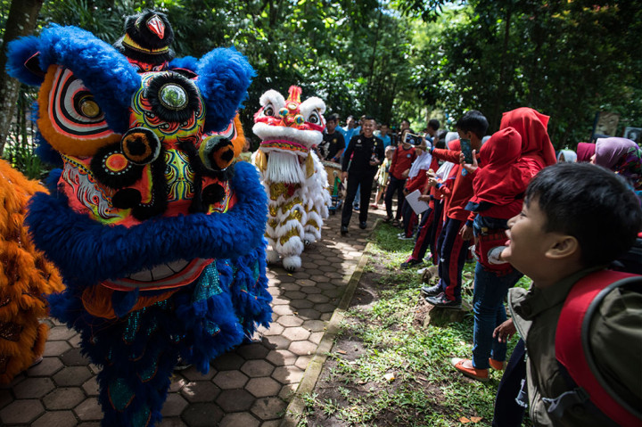 Pengunjung menyaksikan parade barongsai di Kebun Binatang Bandung, Bandung Jawa Barat, Sabtu, 17 Februari 2018. 