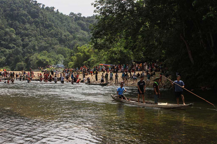 Pagi itu, Minggu, 28 Januari 2018 boleh jadi disebut hari bahagia bagi warga Desa Batu Sanggan. Sudah waktunya panen ikan di lubuk larangan, bagian berlekuk yang tak jauh dari sungai itu. Tak ada yang membedakan aliran sungai untuk transportasi dengan aliran sungai di lubuk larangan. Hanya saja, masyarakat sepakat menentukan lokasi lubuk di bagian aliran sungai dengan kedalaman 1-2 meter.