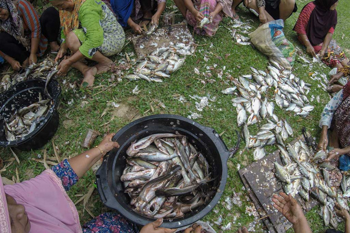 Kemudian ikan hasil tangkapan bersama itu dikumpulkan. Ikan tersebut tidak serta merta dibagi-bagi secara gratis kepada warga. Warga yang ingin mendapatkan ikan mesti mengikuti proses pelelangan. Ikan yang dilelang harus berukuran besar, dan hasil pelelangan dijadikan dana untuk kegiatan masyarakat seperti pembangunan masjid dan kas desa. Selebihnya ikan yang berukuran lebih kecil dimasak di dapur umum dan di makan bersama (makan bajambau).