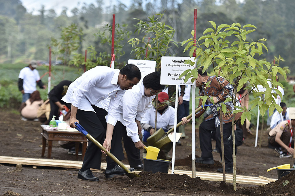 Presiden Joko Widodo didampingi Menteri Lingkungan Hidup dan Kehutanan Siti Nurbaya menanam pohon Manglid usai ditanam di kawasan Hulu Sungai Citarum, Kertasari, Kabupaten Bandung, Jawa Barat. 
