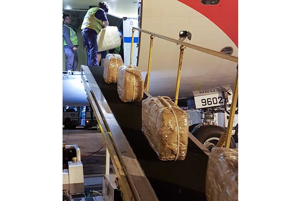 Dia mengatakan bahwa polisi Rusia dan Argentina telah memutuskan melakukan operasi penyamaran setelah duta besar Rusia melaporkan temuan kokain tersebut di komplek kedubes pada Desember 2016.