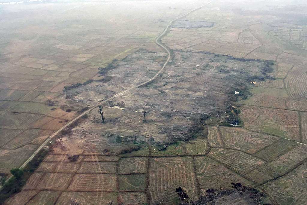 Gerakan militer kemudian memaksa hampir 700.000 warga Rohingya mengungsi ke perbatasan Bangladesh. Banyak di antara pengungsi itu menyatakan menyaksikan pembunuhan, pemerkosaan dan pembakaran desa oleh tentara Myanmar.