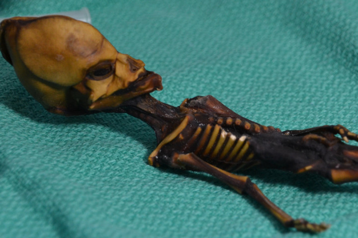 Mumi mirip alien yang diberi nama Ata ini ditemukan di Gurun Atacama, Chile tahun 2003 lalu. Mumi tersebut diberi nama Ata. Saat ditemukan, mumi ini berada di dalam kantong kulit di sebuah gereja tua yang tidak lagi dipakai. 
