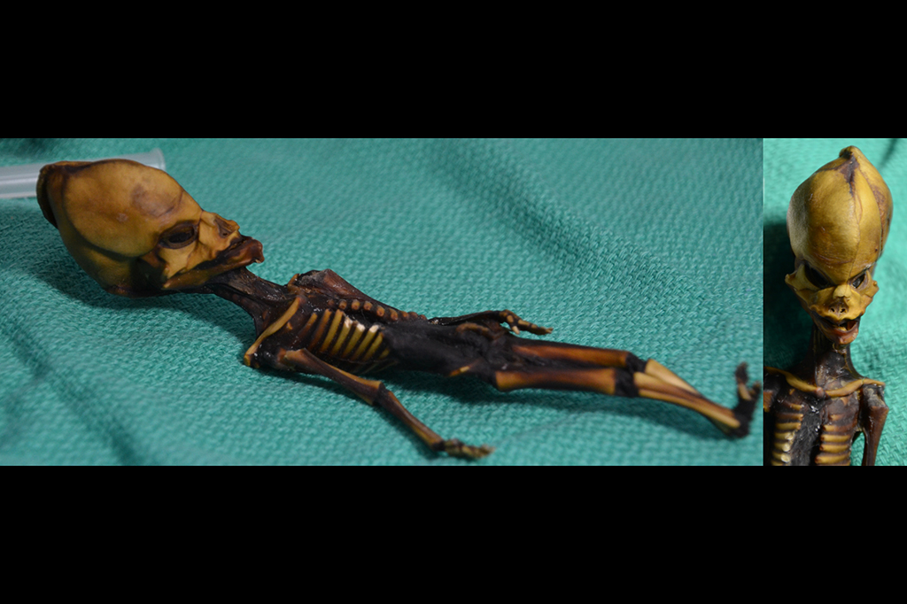 Hasil penelitian terbaru mengungkapkan fakta mengejutkan bahwa mumi Ata adalah manusia. Mumi ini adalah jasad seorang bayi perempuan yang memiliki penyakit dwarfisme dan mengalami sejumlah mutasi tulang akibat penyakit tertentu, yang tergolong kasus langka. Bayi ini meninggal 40 tahun lalu, sehingga mementahkan dugaan bahwa mumi ini dari zaman kuno. 