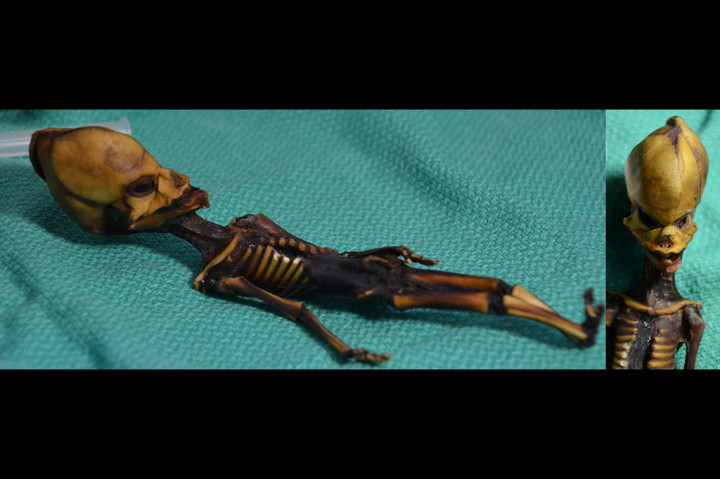 Hasil penelitian terbaru mengungkapkan fakta mengejutkan bahwa mumi Ata adalah manusia. Mumi ini adalah jasad seorang bayi perempuan yang memiliki penyakit dwarfisme dan mengalami sejumlah mutasi tulang akibat penyakit tertentu, yang tergolong kasus langka. Bayi ini meninggal 40 tahun lalu, sehingga mementahkan dugaan bahwa mumi ini dari zaman kuno. 