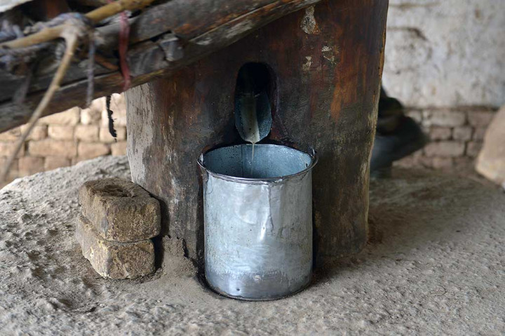 Pelanggan menilai bahwa minyak wijen yang digiling dengan unta lebih sehat dan manis dibanding buatan pabrik. Masakan yang dihasilkan pun dinilai tidak berbahaya bagi penderita diabetes maupun darah tinggi. Selain untuk masakan, minyak wijen juga bisa digunakan untuk pengobatan berbagai macam penyakit, seperti sakit kuning, nyeri tulang belakang, sakit kaki, dan lain sebagainya.