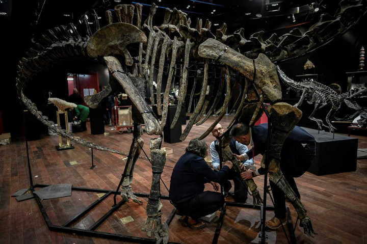 Tulang-tulang dinosaurus semakin banyak menghiasi lemari para kolektor, dengan kerangka besar lain, Theropoda, yang diperkirakan berharga mencapai 1,5 juta euro (USD1,84 juta) ketika dilelang pada Juni.