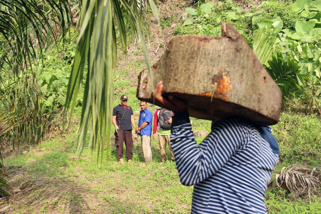 Tersangka pelaku illegal logging (kedua kiri) dikawal aparat Polres Aceh Singkil saat diminta menunjukkan lokasi penebangan kayu dalam kawasan hutan lindung wilayah Soraya di Desa Pasir Belo, Sultan Daulat, Kota Subulussalam, Aceh.