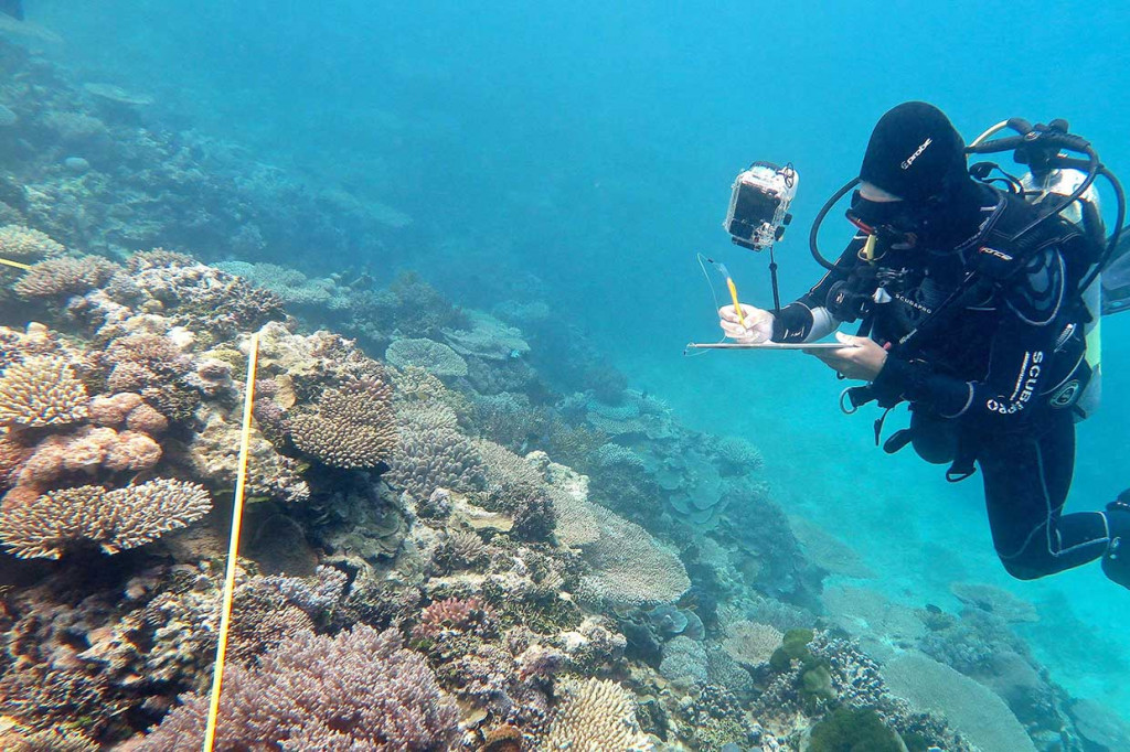 Foto tak bertanggal yang dirilis Studi Terumbu Karang ARC Centre of Excellence, menunjukkan seorang peneliti menyurvei pemutihan terumbu karang di Great Barrier Reef, Australia. Studi terbaru yang dipublikasikan Nature mengungkapkan dalam dua tahun terakhir, gelombang panas ekstrem telah membunuh setengah karang Great Barrier Reef. AFP/ARC Centre of Excellence for Coral Reef Studies