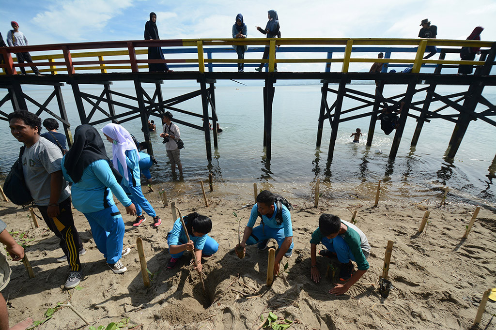 Sejumlah pelajar menanam mangrove di bibir Pantai Teluk Palu, Sulawesi Tengah. Penanaman mangrove yang diinisiasi oleh sejumlah organisasi pelajar, mahasiswa dan pecinta lingkungan itu dimaksudkan untuk menyelamatkan ekosistem pantai sekaligus kampanye pelestarian lingkungan dalam rangka Hari Bumi. ANTARA/Basri Marzuki