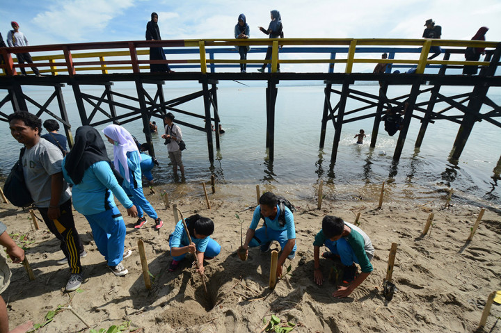 Sejumlah pelajar menanam mangrove di bibir Pantai Teluk Palu, Sulawesi Tengah. Penanaman mangrove yang diinisiasi oleh sejumlah organisasi pelajar, mahasiswa dan pecinta lingkungan itu dimaksudkan untuk menyelamatkan ekosistem pantai sekaligus kampanye pelestarian lingkungan dalam rangka Hari Bumi. ANTARA/Basri Marzuki