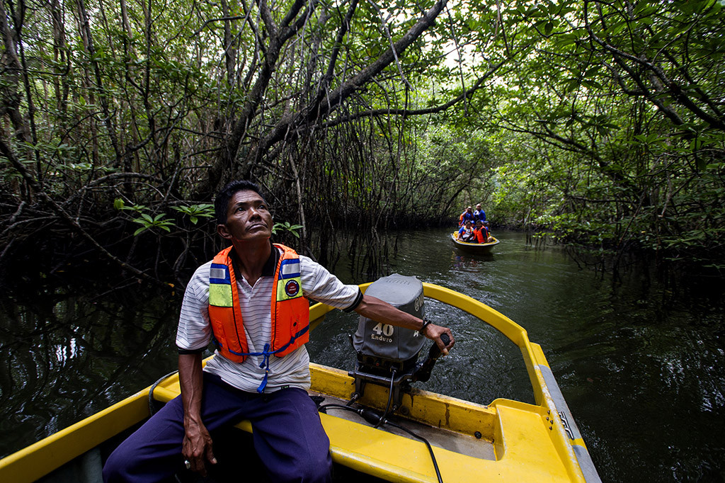 Pemandu mengantar wisatawan mengunjungi hutan bakau di anak aliran Sungai Sebong, Lagoi, Pulau Bintan, Kepulauan Riau.