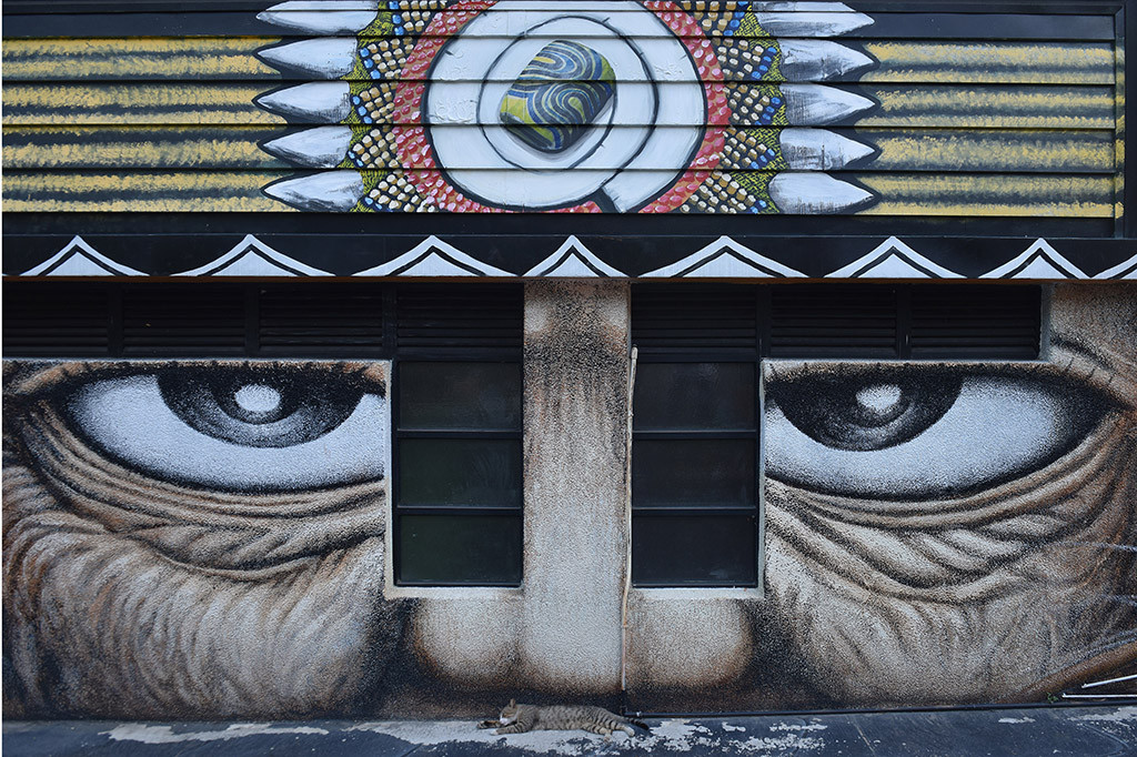 Menurut informasi dari berbagai sumber, latar belakang geografis penduduk asli Taiwan atau sering disebut suku aborigin itu berasal dari satu nenek moyang yaitu orang Austronesian. Sekitar 5000-6000 tahun yang lalu mereka bermigrasi dari kawasan pasifik menuju ke sebagian Asia Tenggara, Madagaskar hingga menetap di Formosa yang dikenal sebagai Taiwan. 