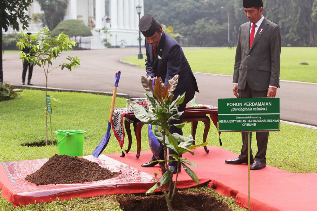 Presiden Joko Widodo mengajak Sultan Brunei Darussalam, Sultan Haji Hassanal Bolkiah, menanam pohon perdamaian secara simbolis saat kunjungan bilateral di Istana Bogor, Jawa Barat, Kamis, 3 Mei 2018.
