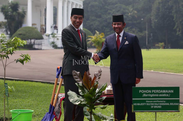 Presiden Jokowi berjabat tangan dengan Sultan Brunei usai menanam pohon perdamaian dengan nama latih 'Barringtonia asiatica' tersebut.