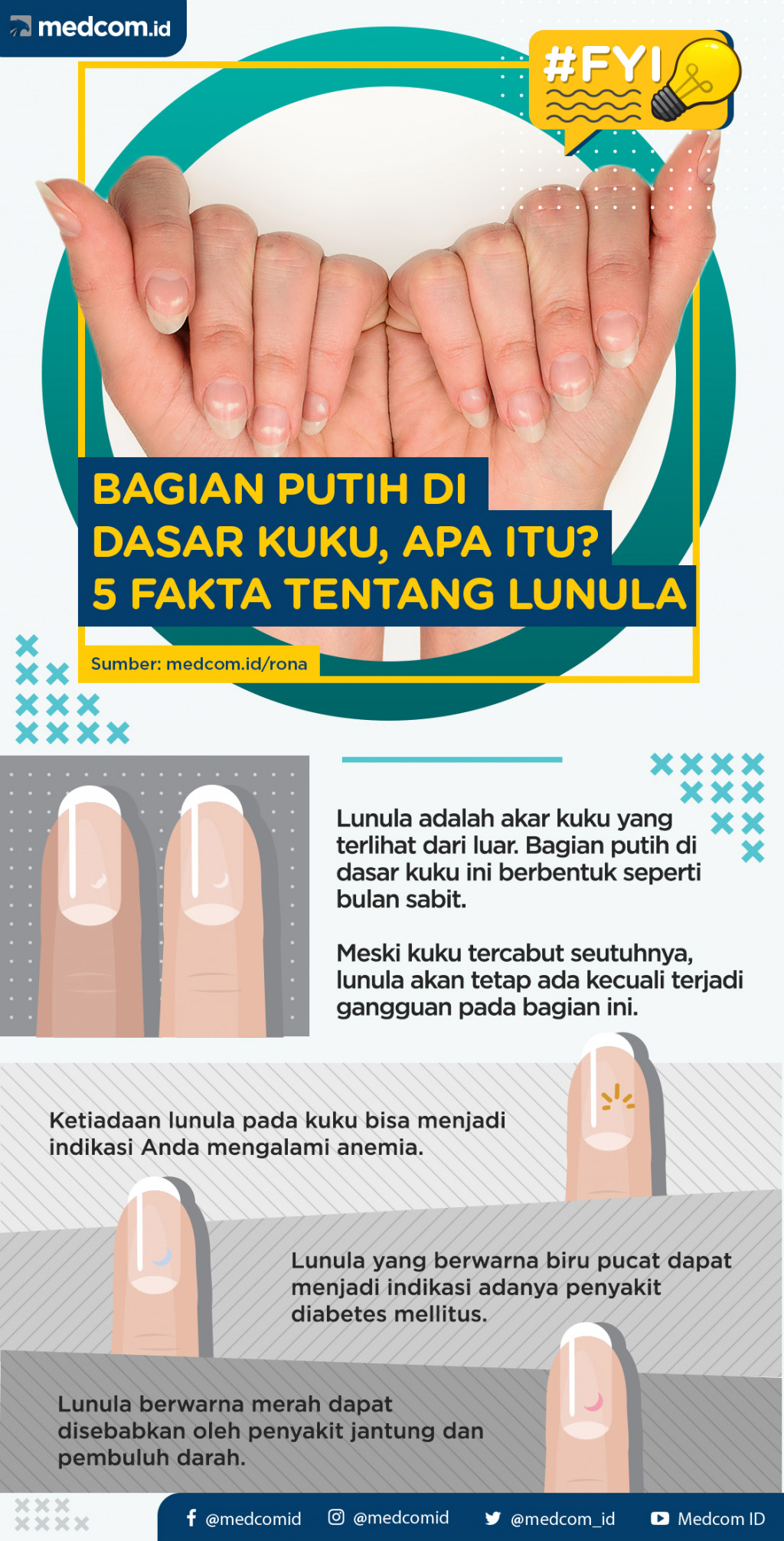 FYI: 5 Fakta Tentang Lunula