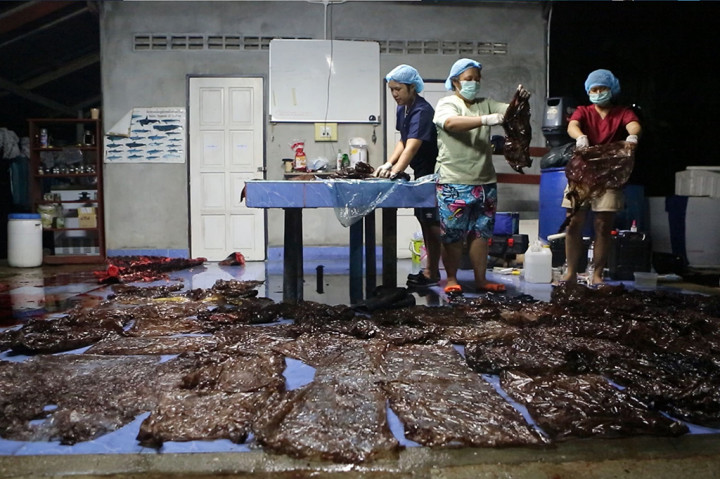 Dokter hewan laut pemerintah dibantu sukarelawan sedang mengangkat plastik dari perut paus pilot jantan yang mati di Pusat Penelitian dan Pengembangan Sumber Daya Laut dan Pesisir di provinsi Songkhla.