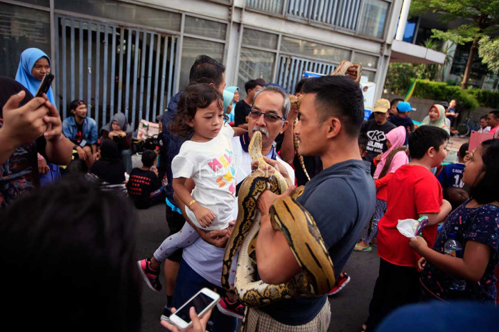 Warga bermain dengan reptil ketika pelaksanaan car free day (CFD) atau Hari Bebas Kendaraan Bermotor (HBKB) di Jalan Sudirman, Jakarta, Minggu, 24 Juni 2018. MI/Rommy Pujianto