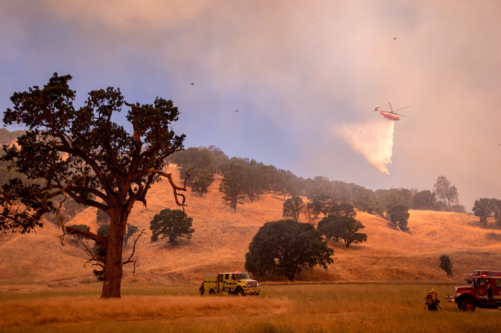 Hingga Minggu 1 Juli 2018 malam waktu setempat, api di Yolo County telah meluas hingga ke area seluas 22 ribu hektare.