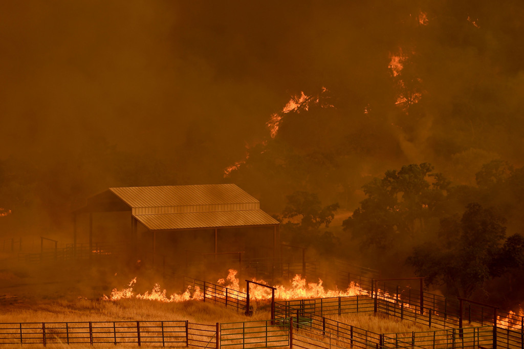 Terdapat juga kebakaran aktif lain di Lake County, yang telah membakar 14.150 hektare lahan. Namun 73 persen dari total kebakaran ini telah berhasil diatasi petugas.