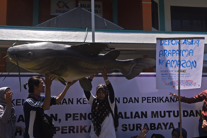 Sejumlah aktivis lingkungan hidup yang tergabung dalam Ecoton berunjuk rasa di depan Balai Karantina Ikan Kelas I Juanda, Surabaya, Jawa Timur.
