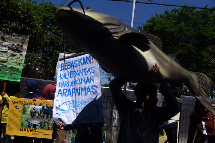 Mereka mendesak instansi di bawah Kementerian Kelautan dan Perikanan itu 