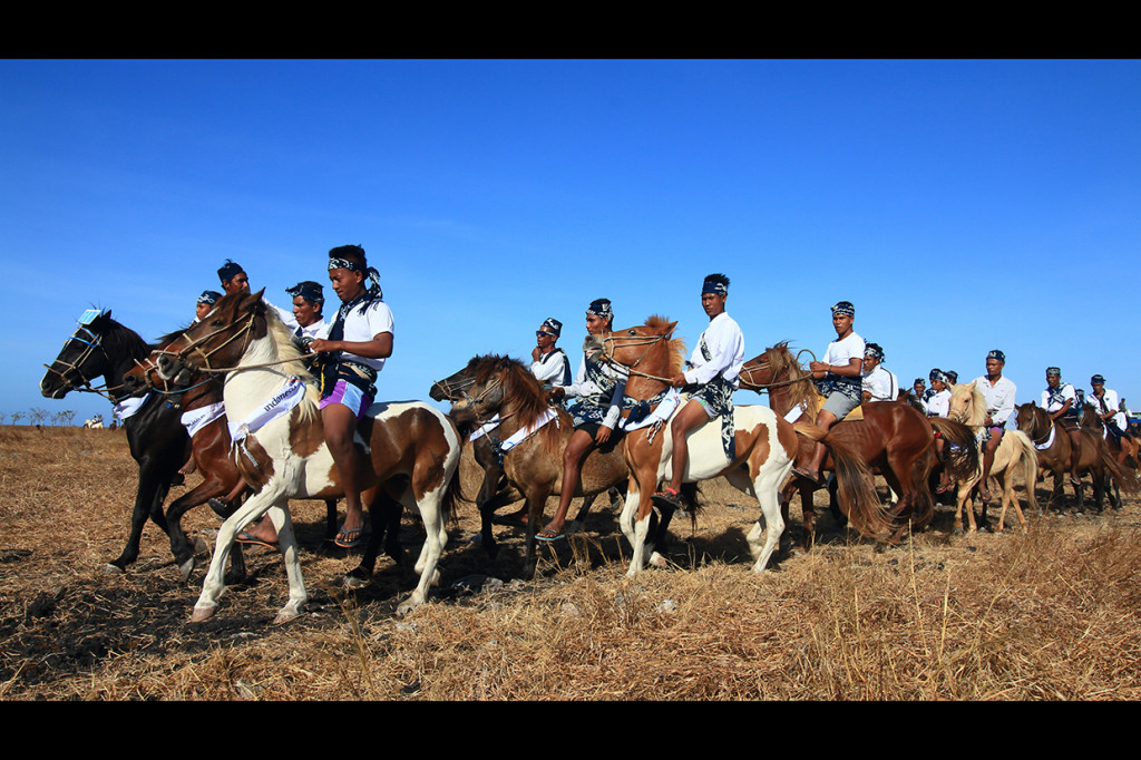 Melihat Parade 1001 Kuda Sandelwood di Sumba