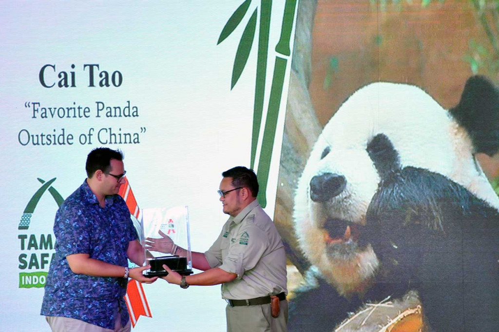 Sementara Taman Safari Indonesia (TSI) menerima penghargaan Internasional Bronze Award untuk kategori konservasi giant panda.