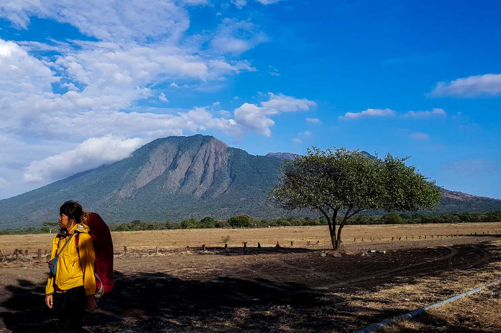 Hamparan padang sabana Bekol seluas sekitar 300 hektar, sangat memanjakan mata dengan pemandangan Gunung Baluran. Pelestarian alam yang mempunyai ekosistem asli, dikelola dengan sistem zonasi yang dimanfaatkan untuk tujuan penelitian, ilmu pengetahuan, pendidikan, menunjang budidaya, pariwisata dan rekreasi.
