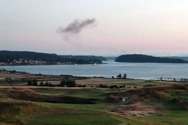 Pelaku yang berusia 29 tahun tersebut kemudian menabrakkan pesawat ke Pulau Ketron yang jarang penduduknya di negara bagian barat laut AS, Washington. Pencuri pesawat dikonfirmasi melakukan bunuh diri, dan menurut aparat tidak terkait terorisme.