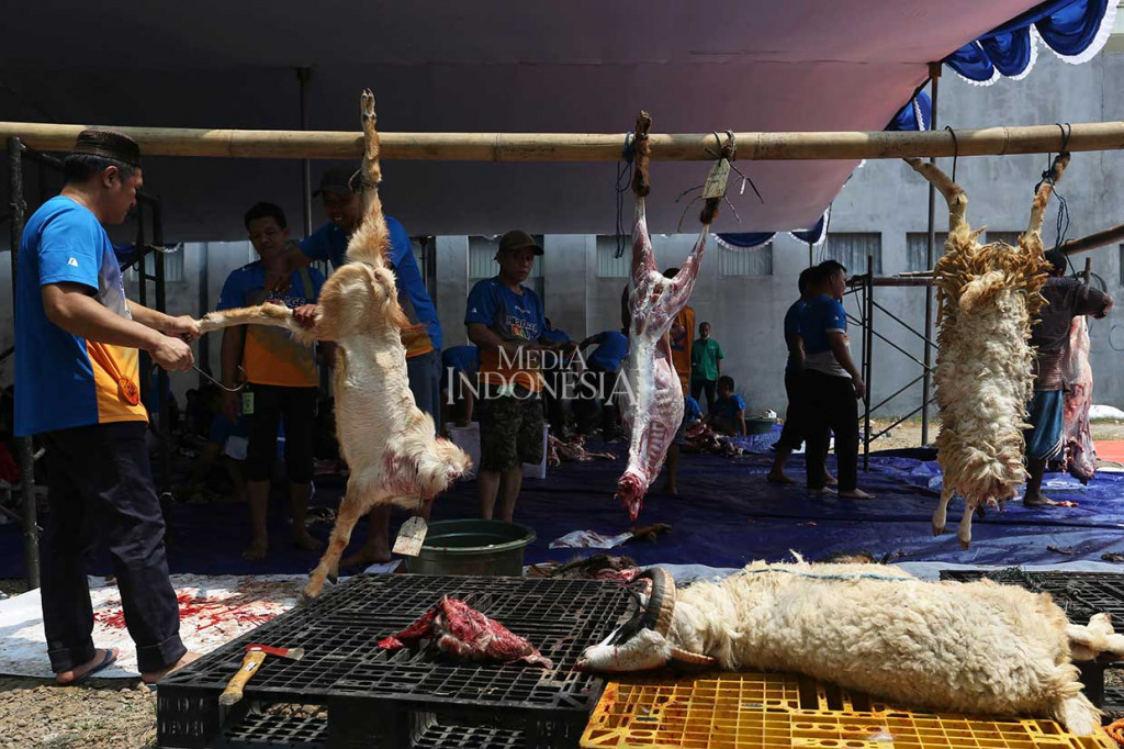 Pada Hari Raya Iduladha 1439 Hijriah, Media Group memotong hewan kurban sebanyak 13 ekor sapi dan 18 ekor kambing.