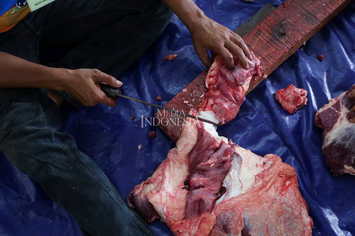 Daging kurban akan dibagikan kepada masyarakat di sekitar wilayah Kedoya Barat, Kebon Jeruk dan diutamakan pada panti-panti sosial dan asuhan. Media Group telah menyiapkan sebanyak 3.560 kupon kurban.