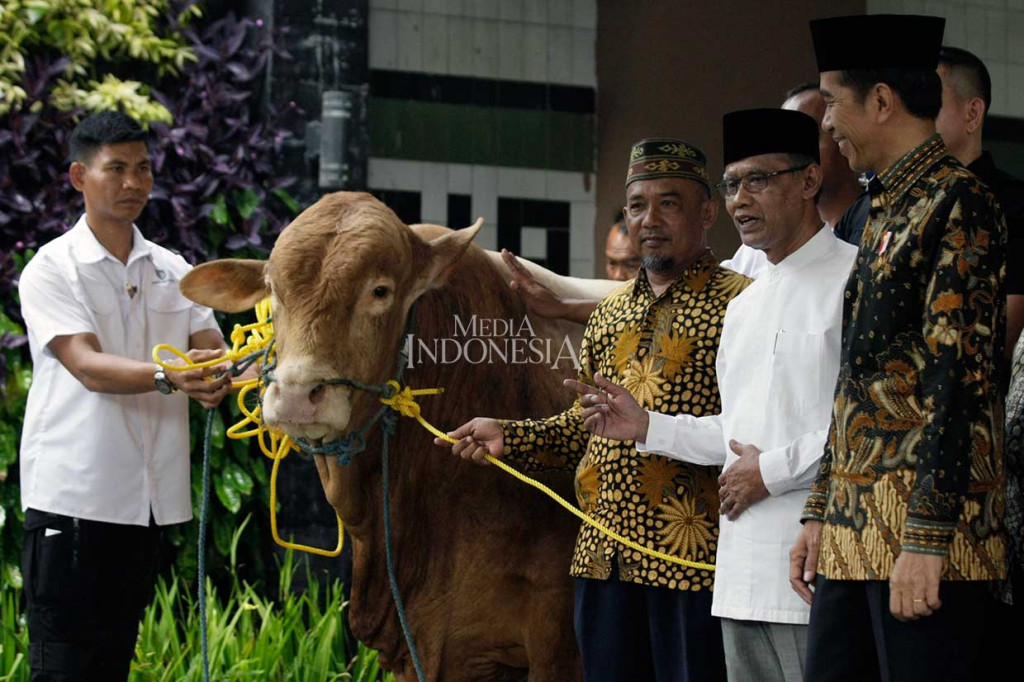 Presiden Joko Widodo menyerahkan hewan kurban sapi yang diterima langsung Ketua Umum PP Muhammadiyah Haedar Nasir (dua kanan) dan Pengurus PP Muhammadiyah di Gedung Pusat Dakwah Muhammadiyah, Menteng, Jakarta Pusat, Kamis, 23 Agustus 2018.